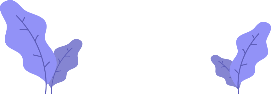 5 (Demo)